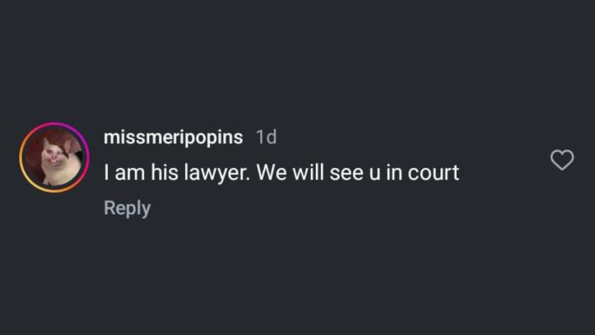 I am his lawyer. We will see u in court (screenshot via straits_times/ Instagram)