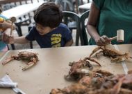 Weekend cover story and guide to Maryland crabs. - Source: Getty