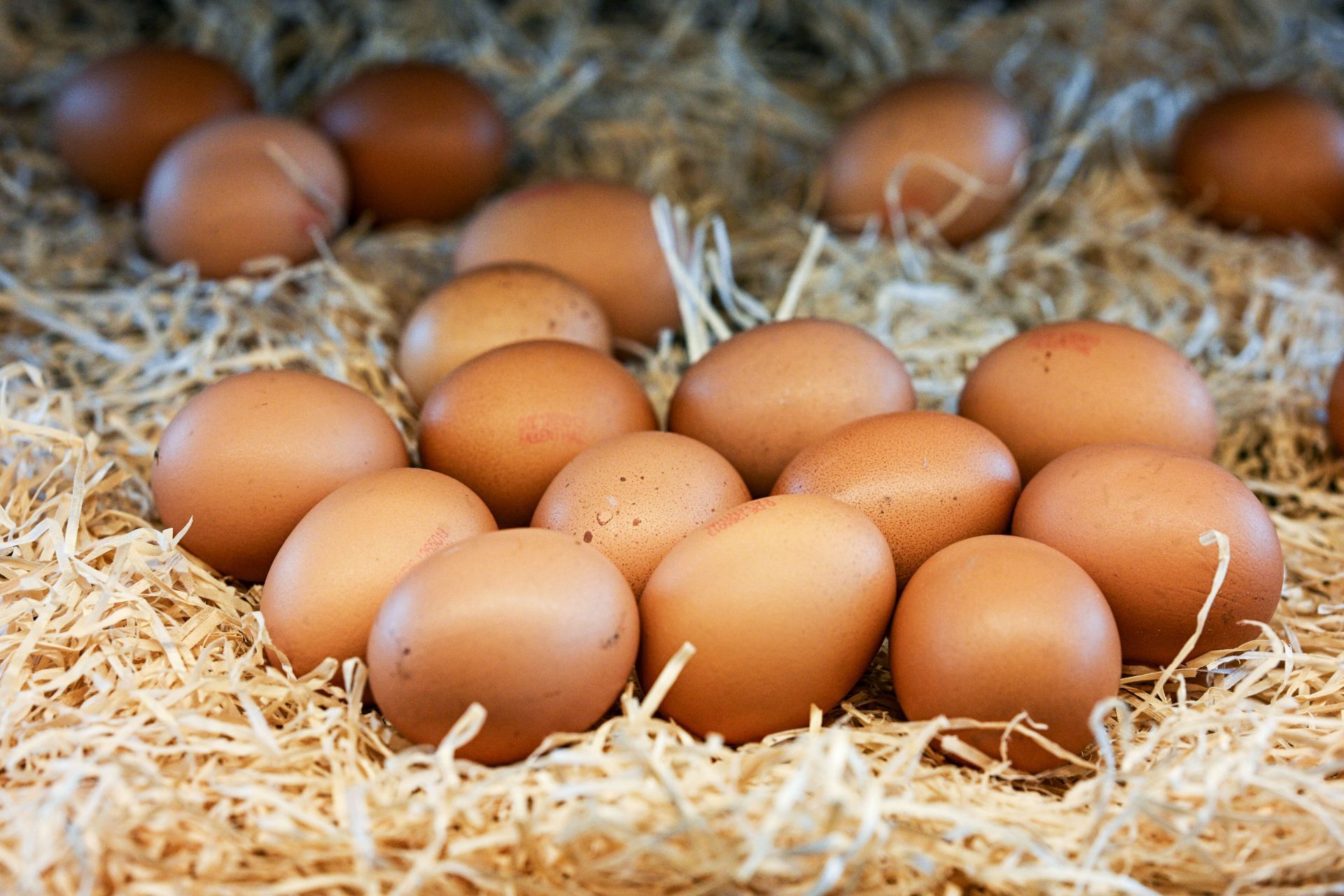 Chicken eggs - Source: Getty