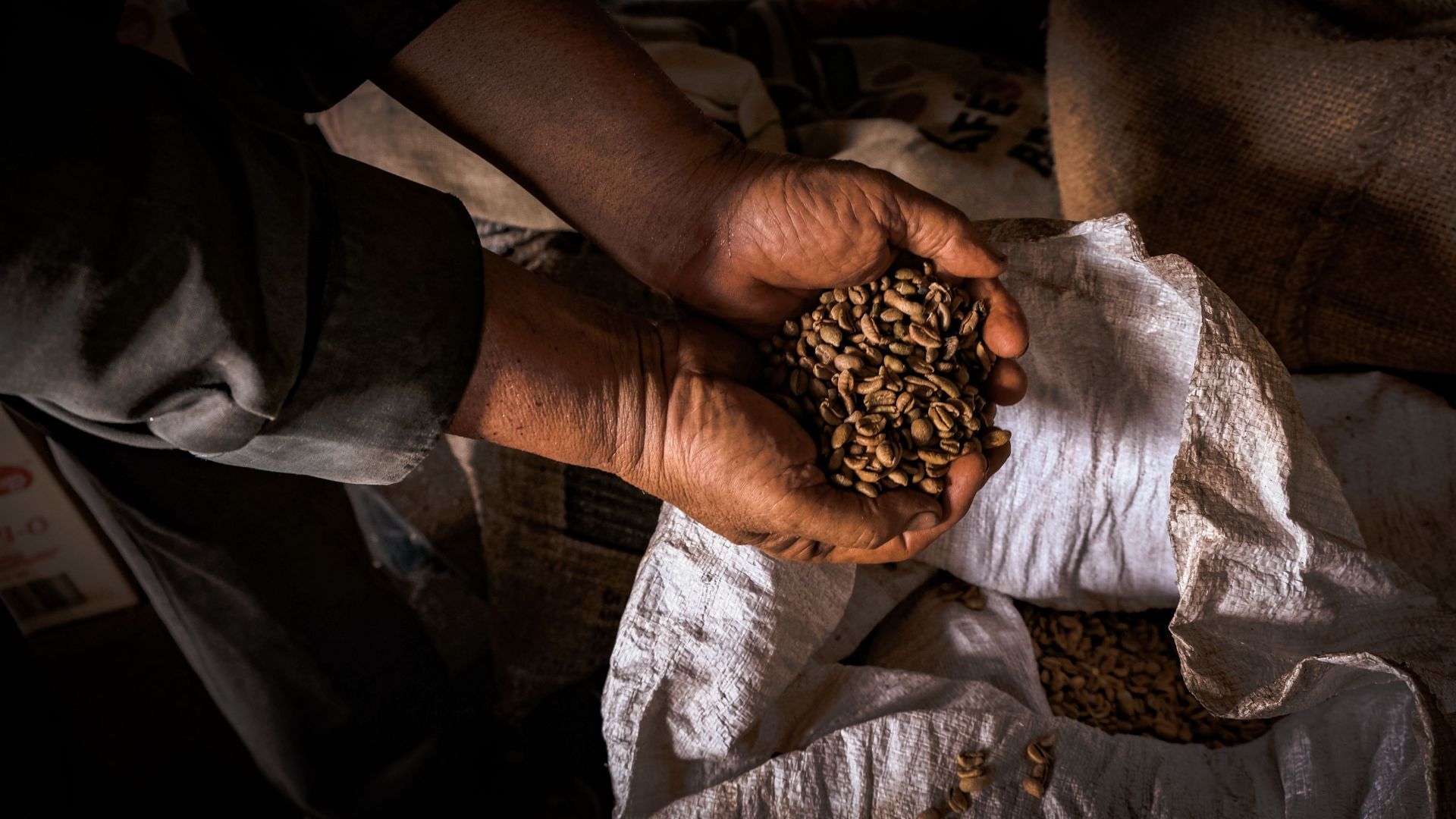 Coffee factory in Malaysia survived 6 decades with traditional roasting - Source: Getty