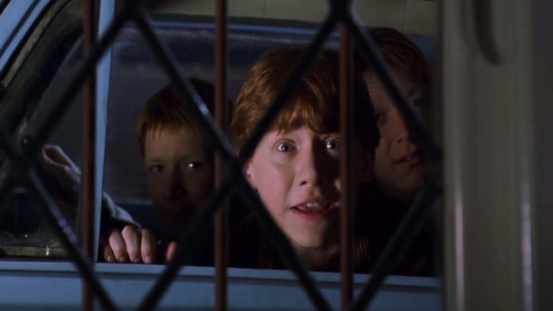 Ronald Weasley | Image Via: Warner Bros. Pictures