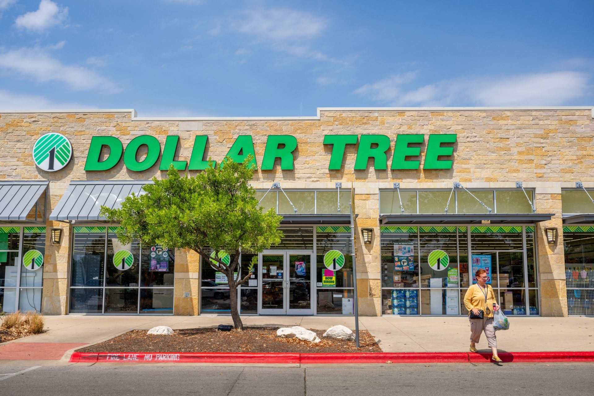 Dollar Tree Shares Drop To 1-Year Low After Earnings Announcement - Source: Getty