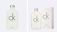 Calvin Klein CK One (Image via CK)