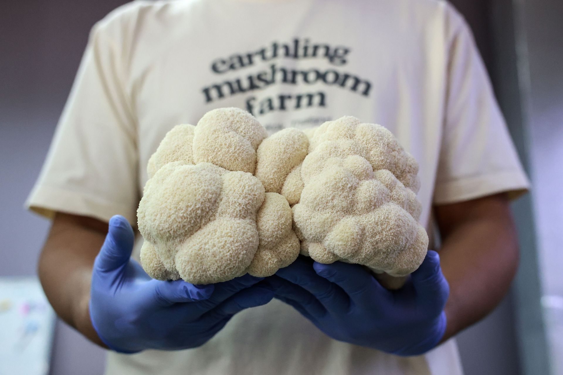 Mushroom Farm in Bangkok - Source: Getty