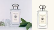 Jo Malone London Wood Sage & Sea Salt Cologne (Image via Jo Malone)