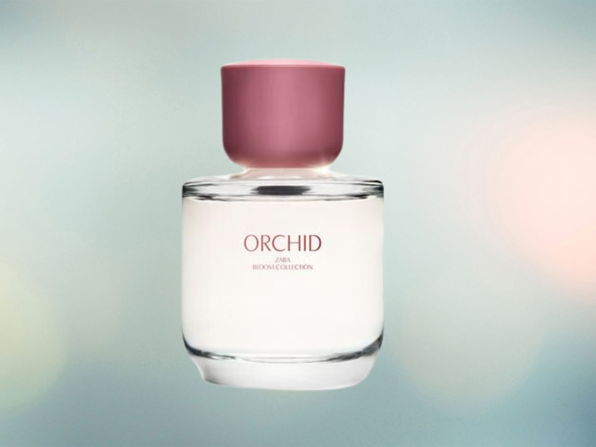 ORCHID EDP 90 ML (Image via Zara)