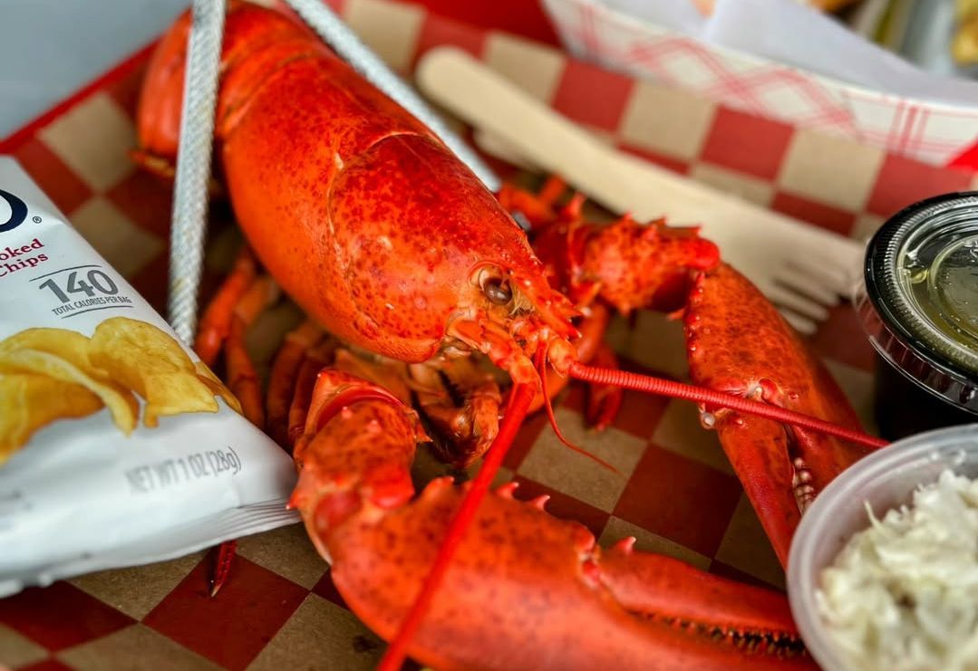 A full Lobster from Mcloons Lobster Shack. (Image via Instagram/@mcloonslobster)