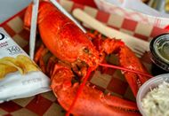 A full Lobster from Mcloons Lobster Shack. (Image via Instagram/@mcloonslobster)