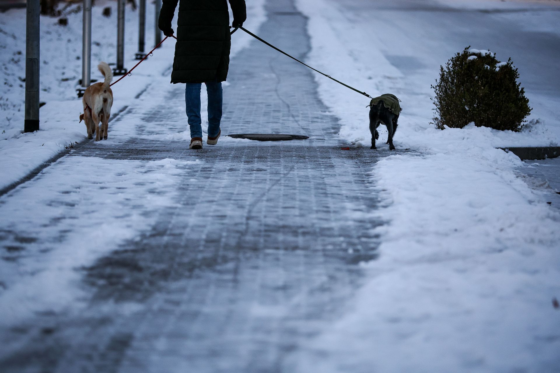 Rain with risk of black ice in Leipzig - Source: Getty