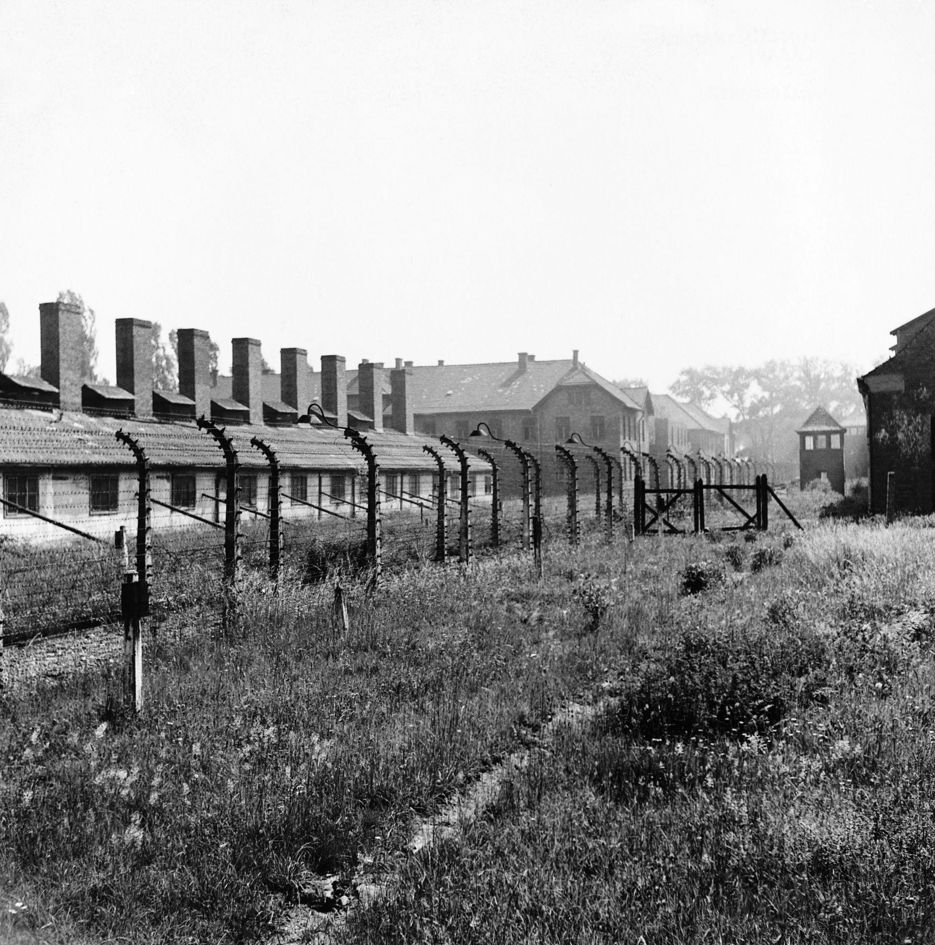 Auschwitz-Birkenau Concentration Camp - Source: Getty