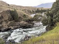 Yellowstone National Park (Image via Getty / David Madison)