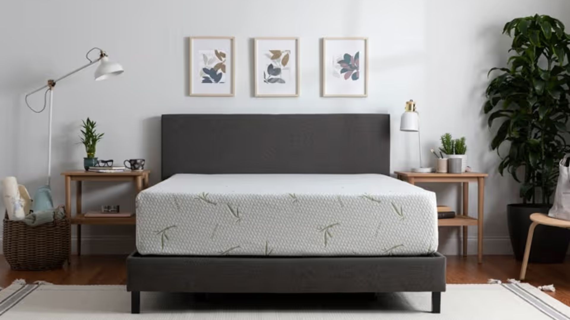 Mattress Firm semi-annual sale (Image via mattressfirm.com)