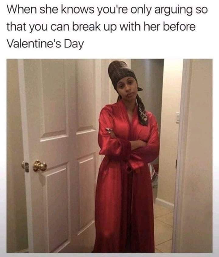 Valentine&#039;s Day Memes