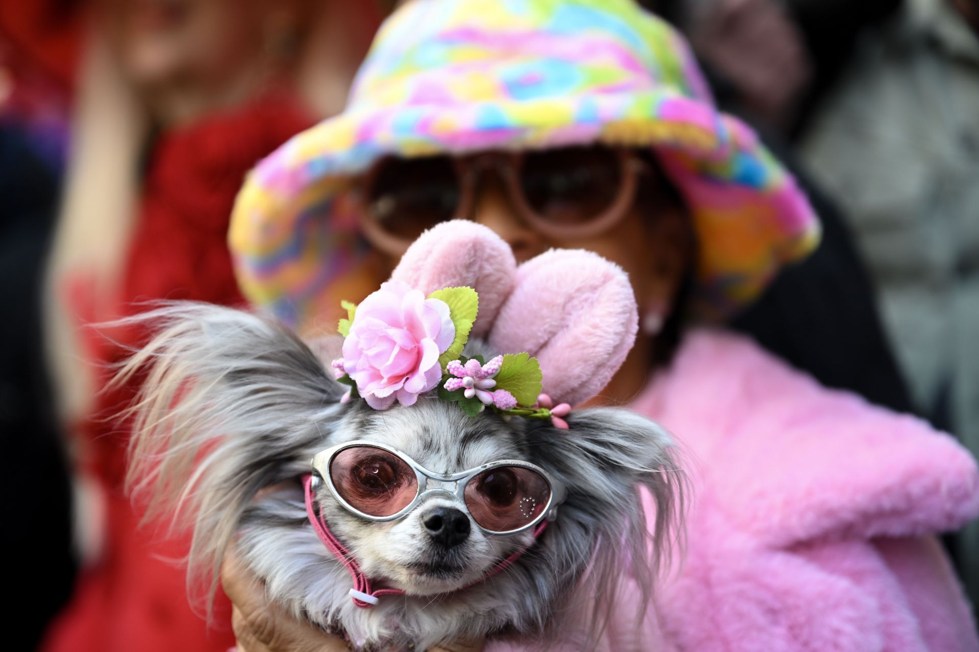 Easter Parade in New York City - Source: Getty