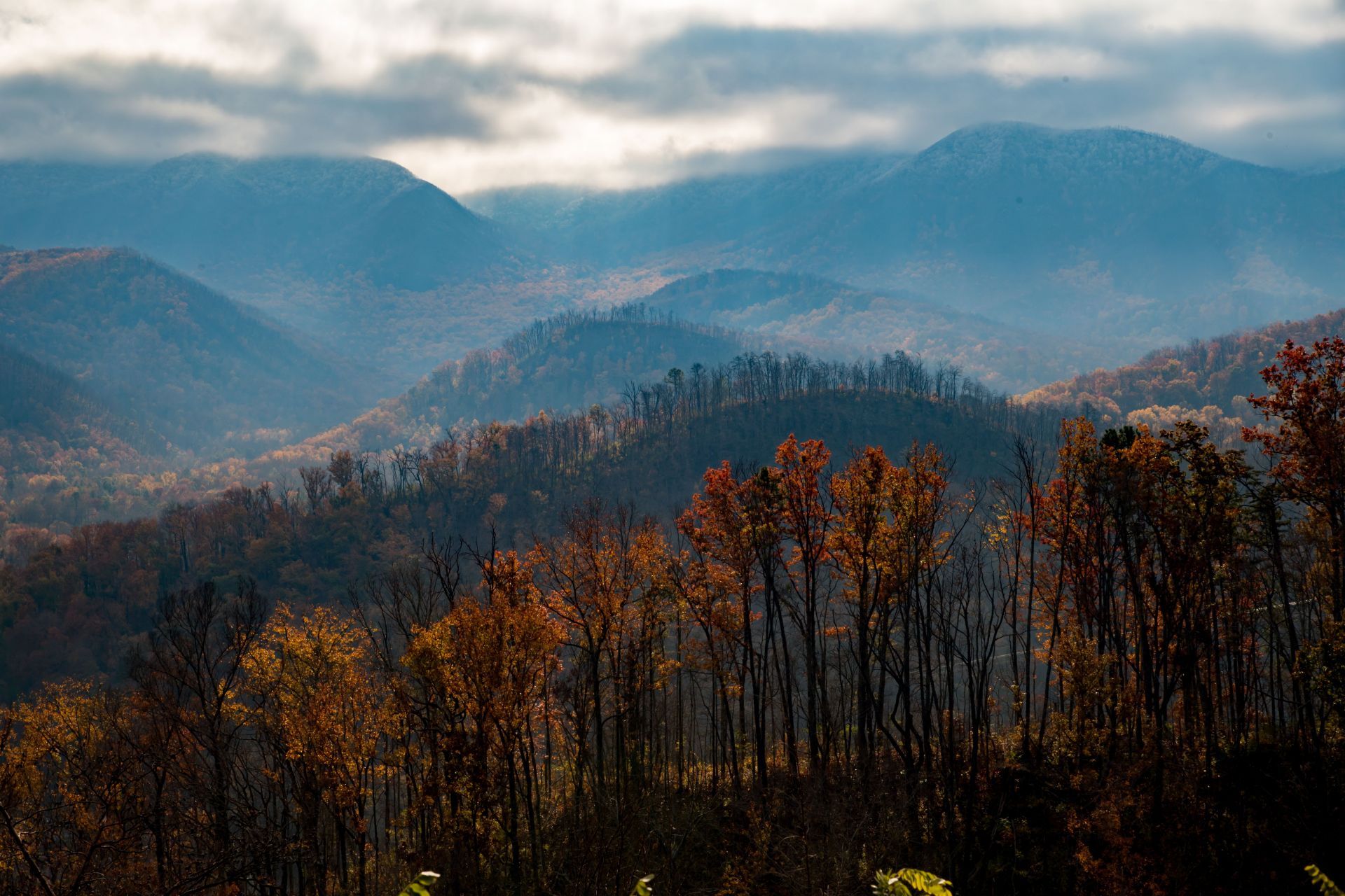 Great Smoky Mountains Trail Hike - Source: Getty