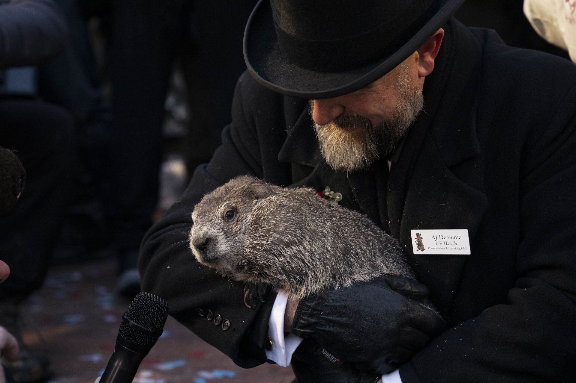 Groundhog Day in Pennsylvania (Image via Getty)