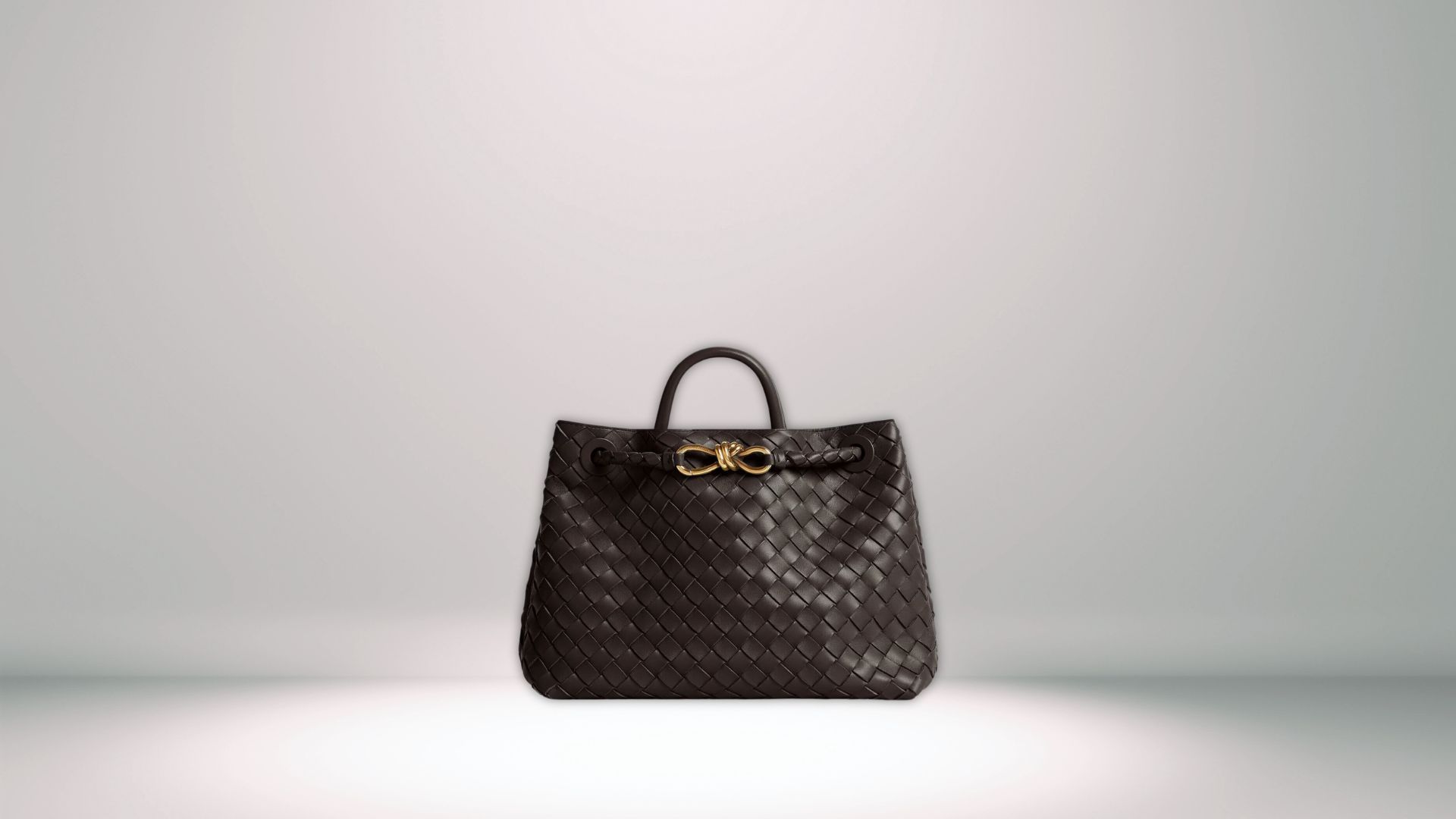 Bottega Veneta Medium Andiamo Bag (Image via bottegaveneta.com)