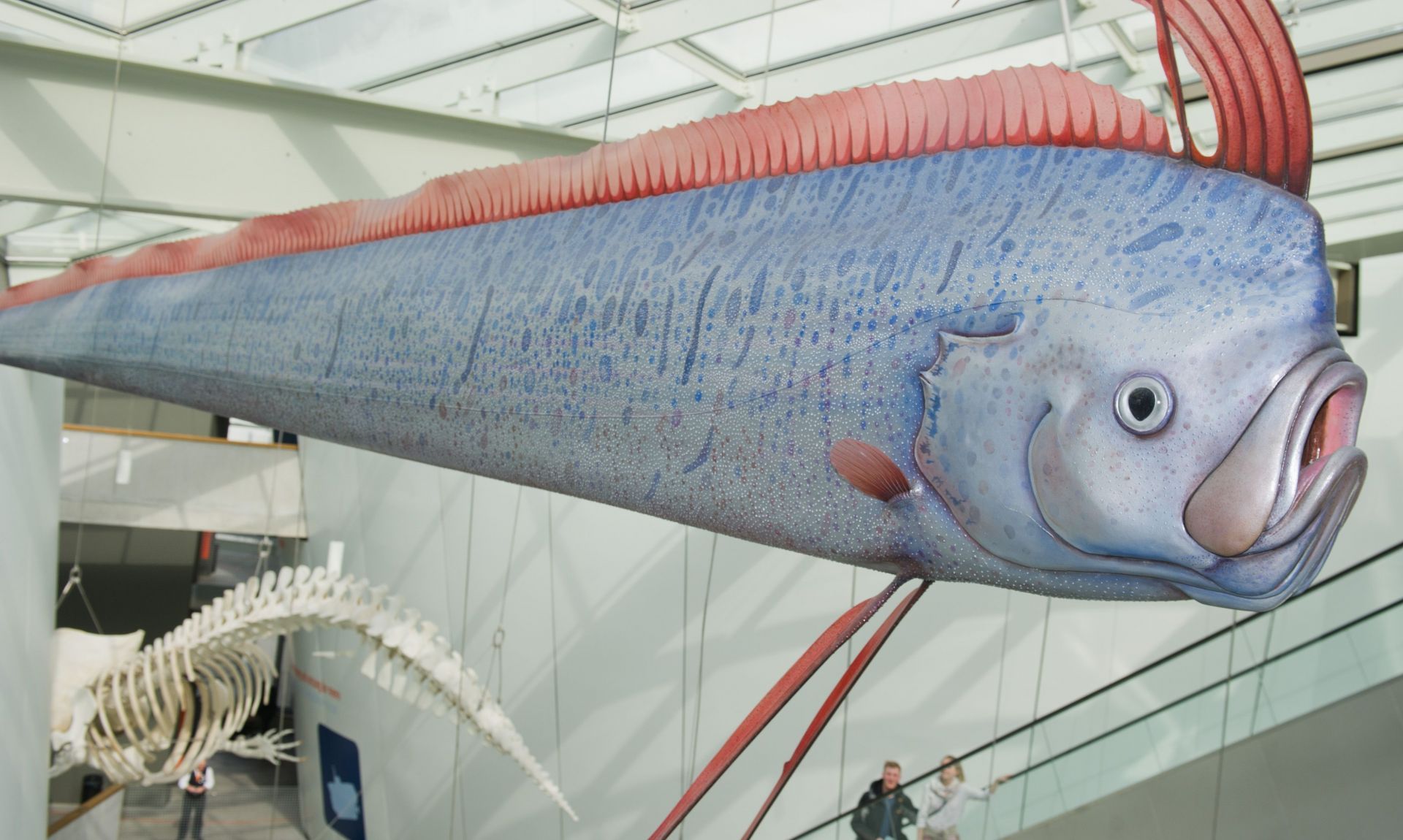 Five-millionth visitor of Stralsund Ozeaneum - Source: Getty