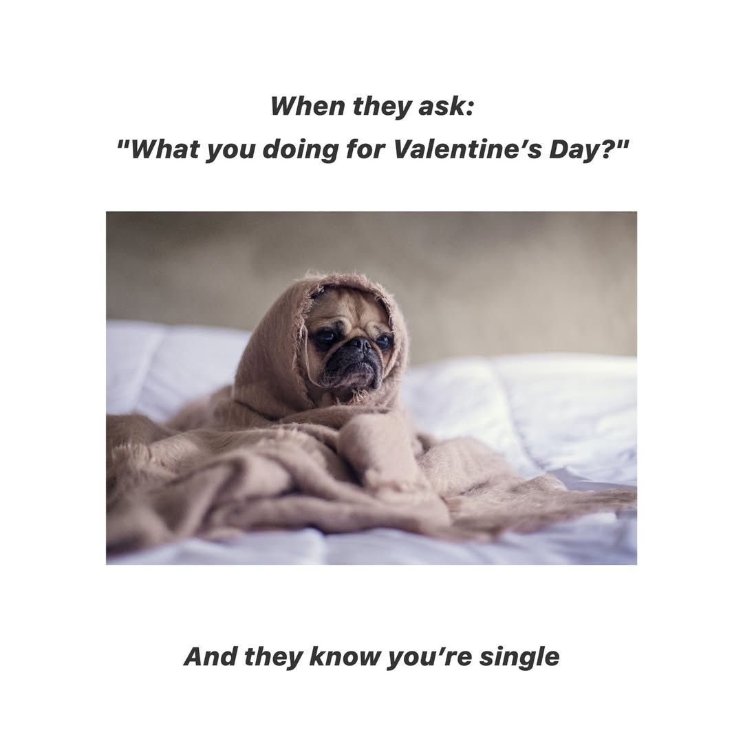 Valentine&#039;s Day Memes