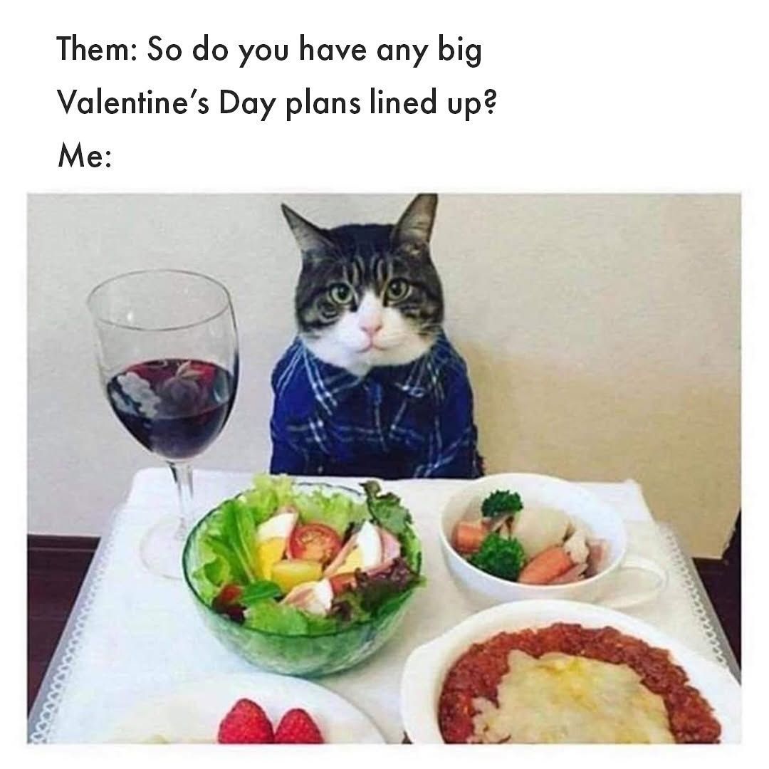 Valentine&#039;s Day Memes