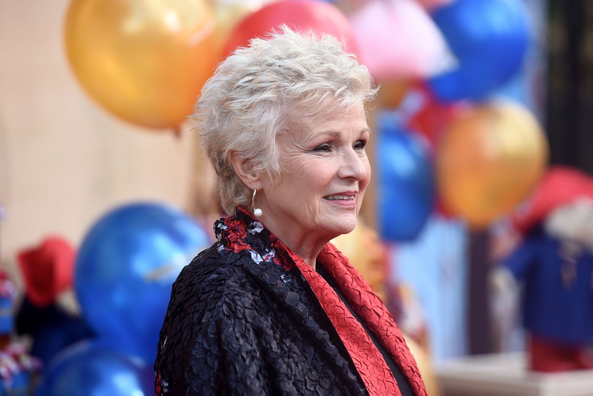 &#039;Paddington 2&#039; Premiere - VIP Arrivals - Source: Getty