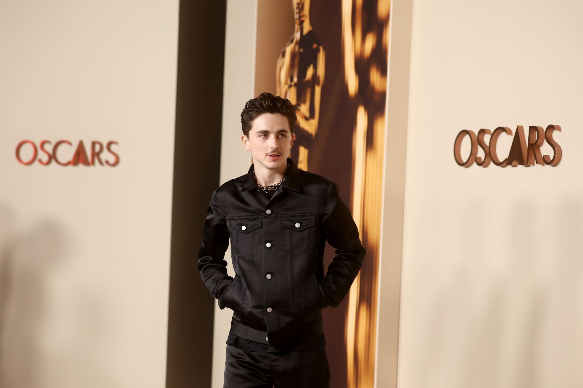97th Annual Academy Awards - Nominees Dinner - Source: Getty
