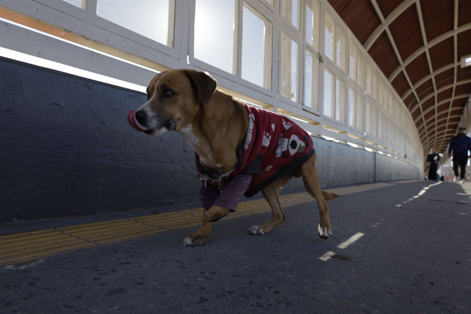 Daily Life At The Paso Del Norte International Bridge In Ciudad Juarez, Mexico - Source: Getty