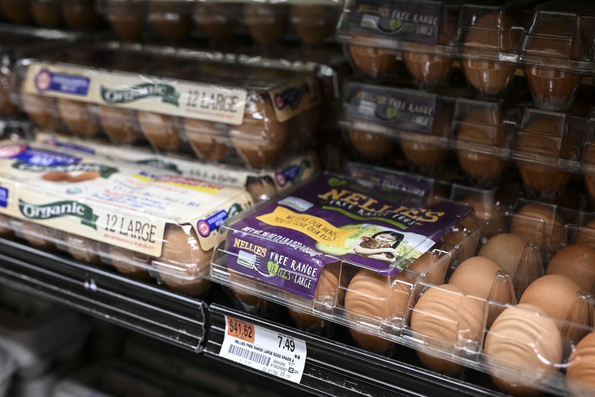 Egg shortage crisis in U.S. - Source: Getty