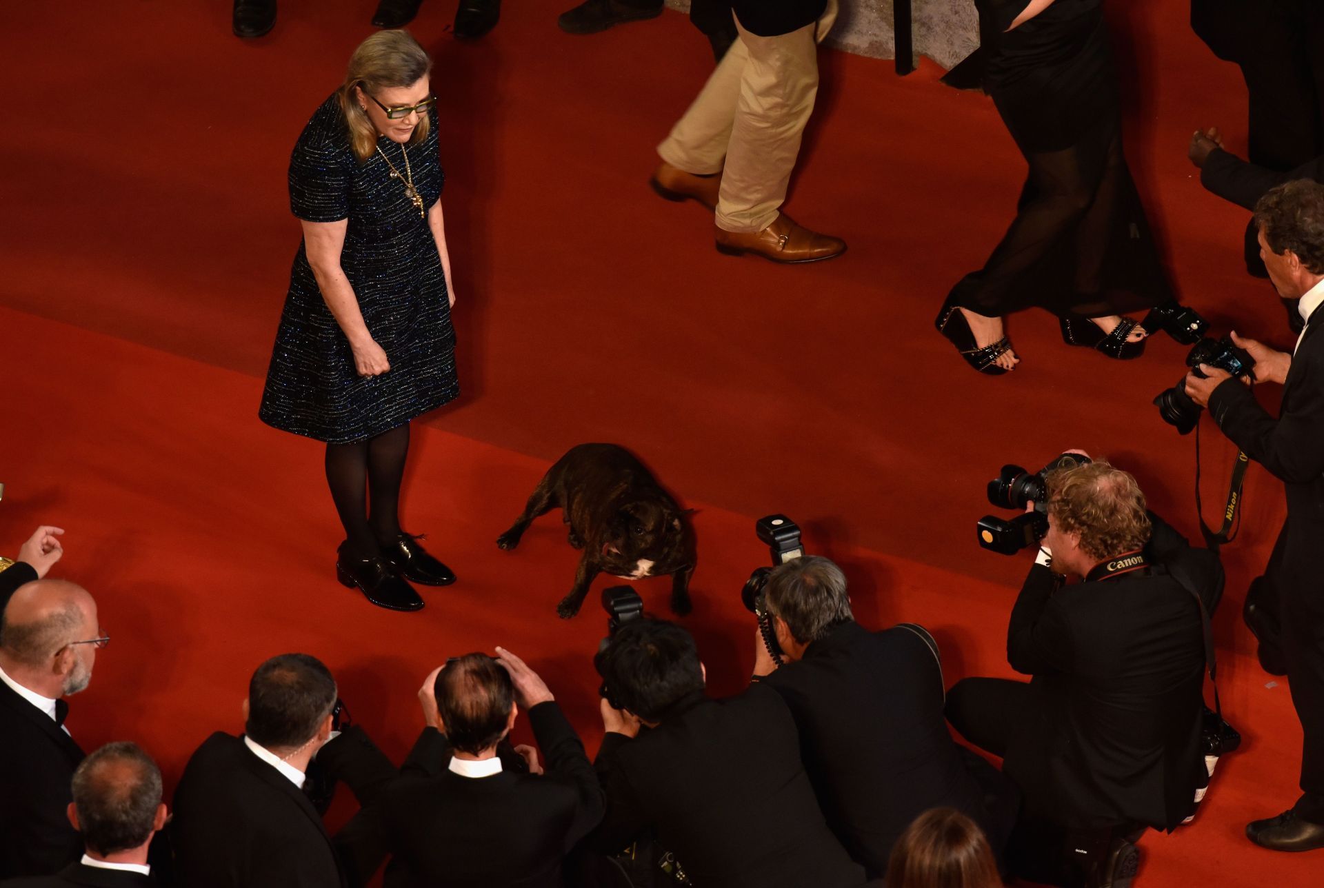 &quot;The Handmaiden (Mademoiselle)&quot; - Red Carpet Arrivals - The 69th Annual Cannes Film Festival - Source: Getty