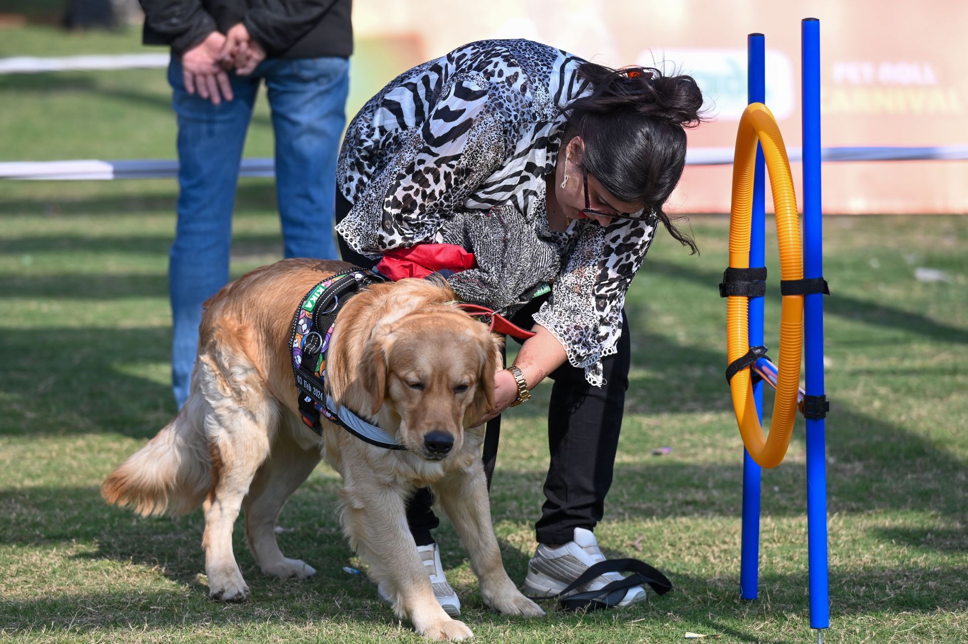 Pet Roll Carnival 2025 In Noida - Source: Getty