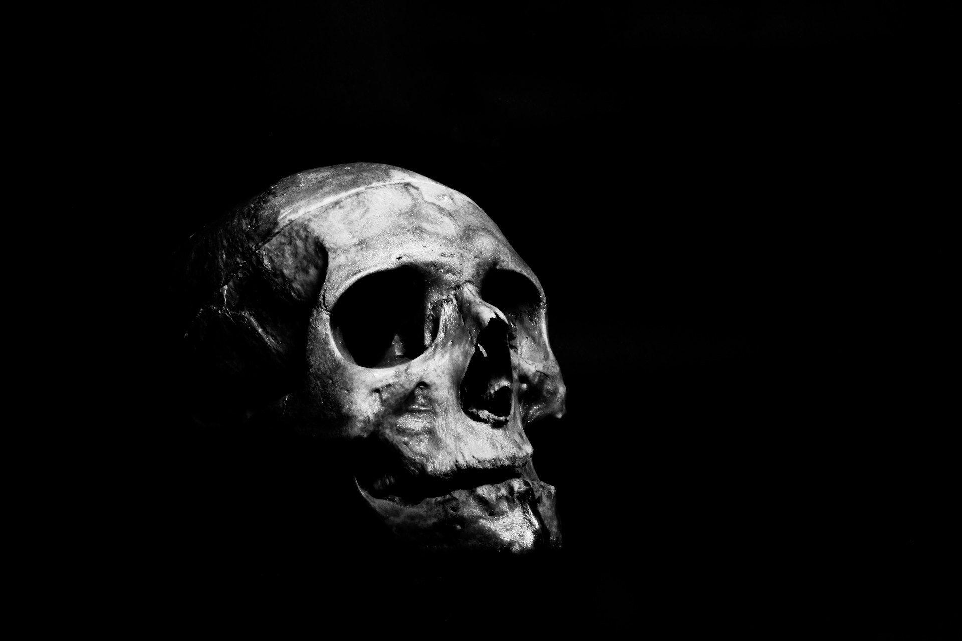 Image of horrifying skull (Via Unsplash/hmed Adly)