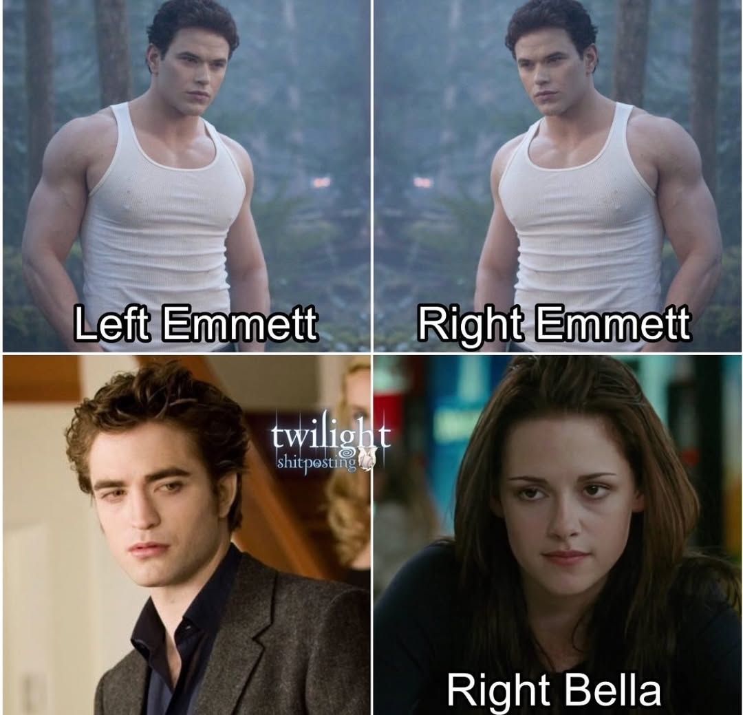 Twilight meme