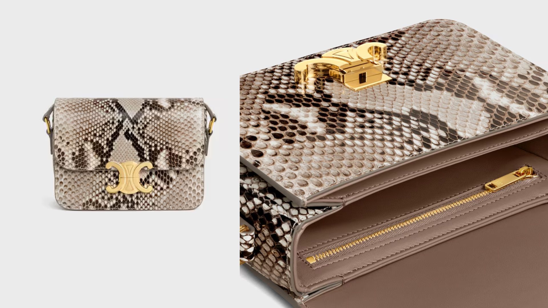 Teen Triomphe Bag in Python (Image via Celine)