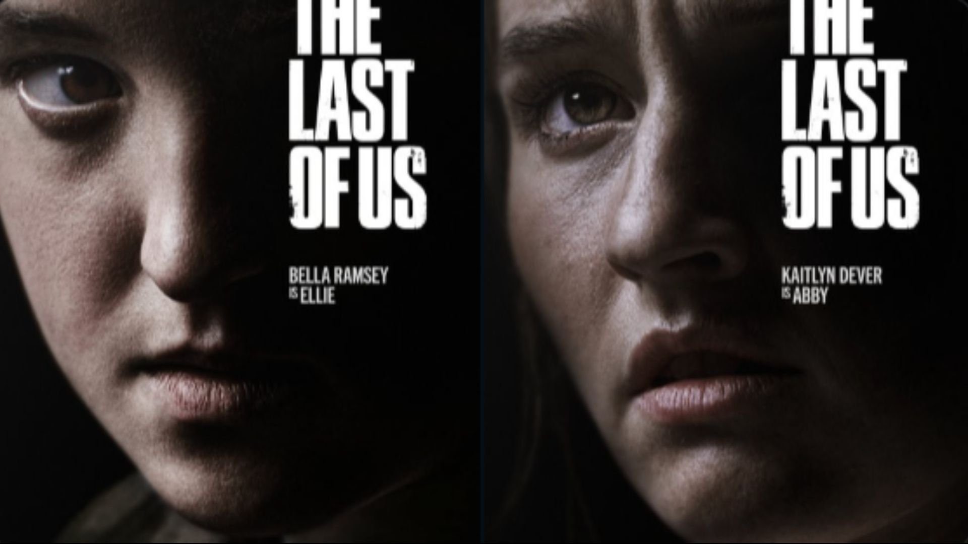 The Last of Us Season 2 posters / Source: HBO