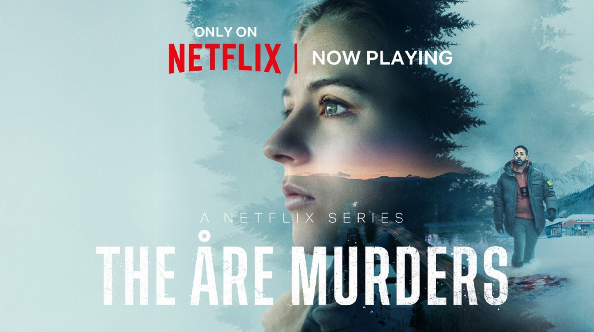 The &Aring;re Murders Source: Netflix