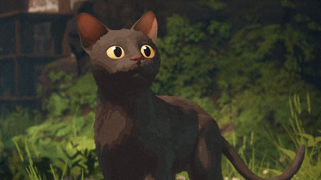 The cat in the award-winning animated film, Flow (Image via Instagram/madmanfilms)