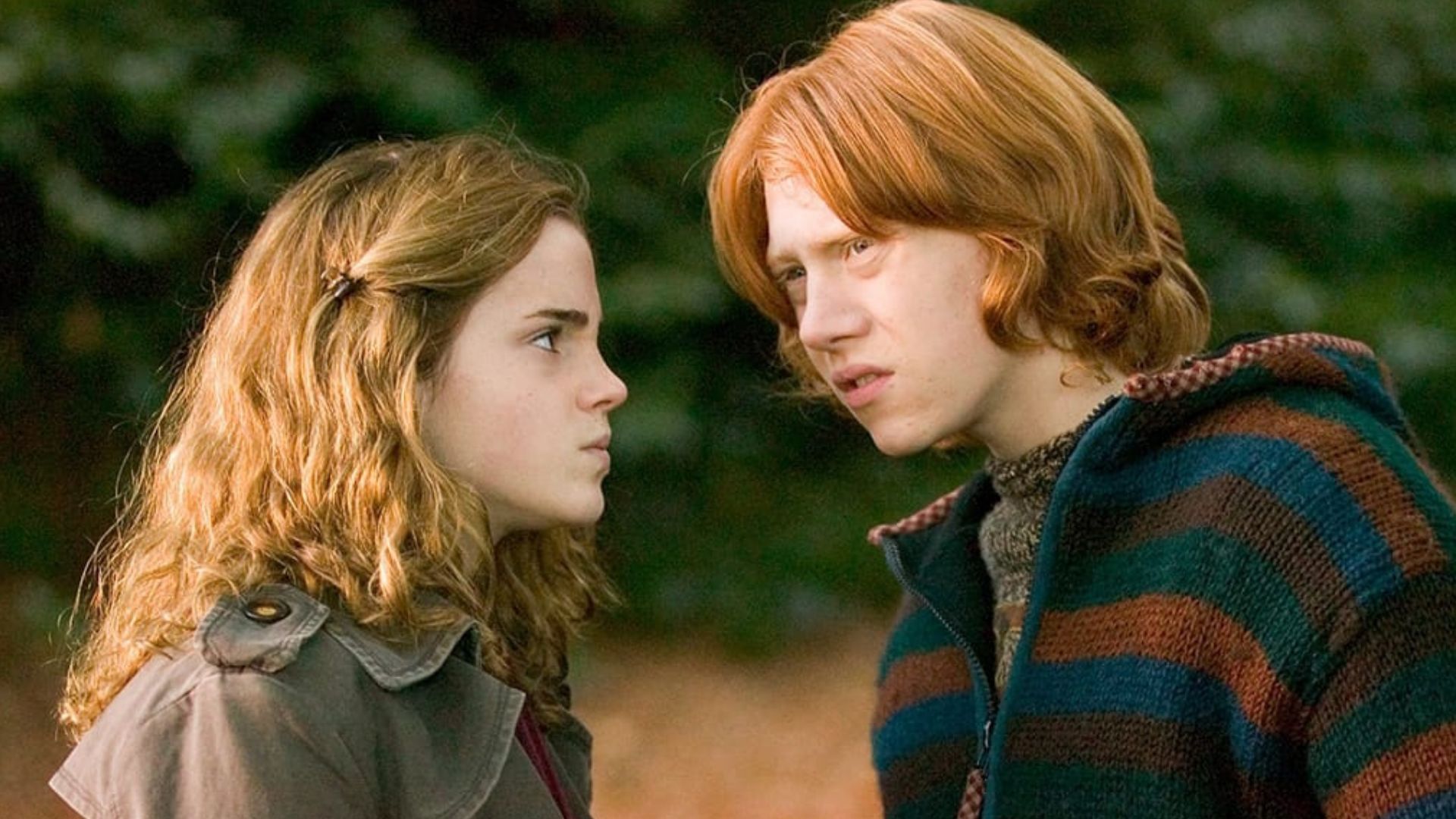 Harry Potter TV series