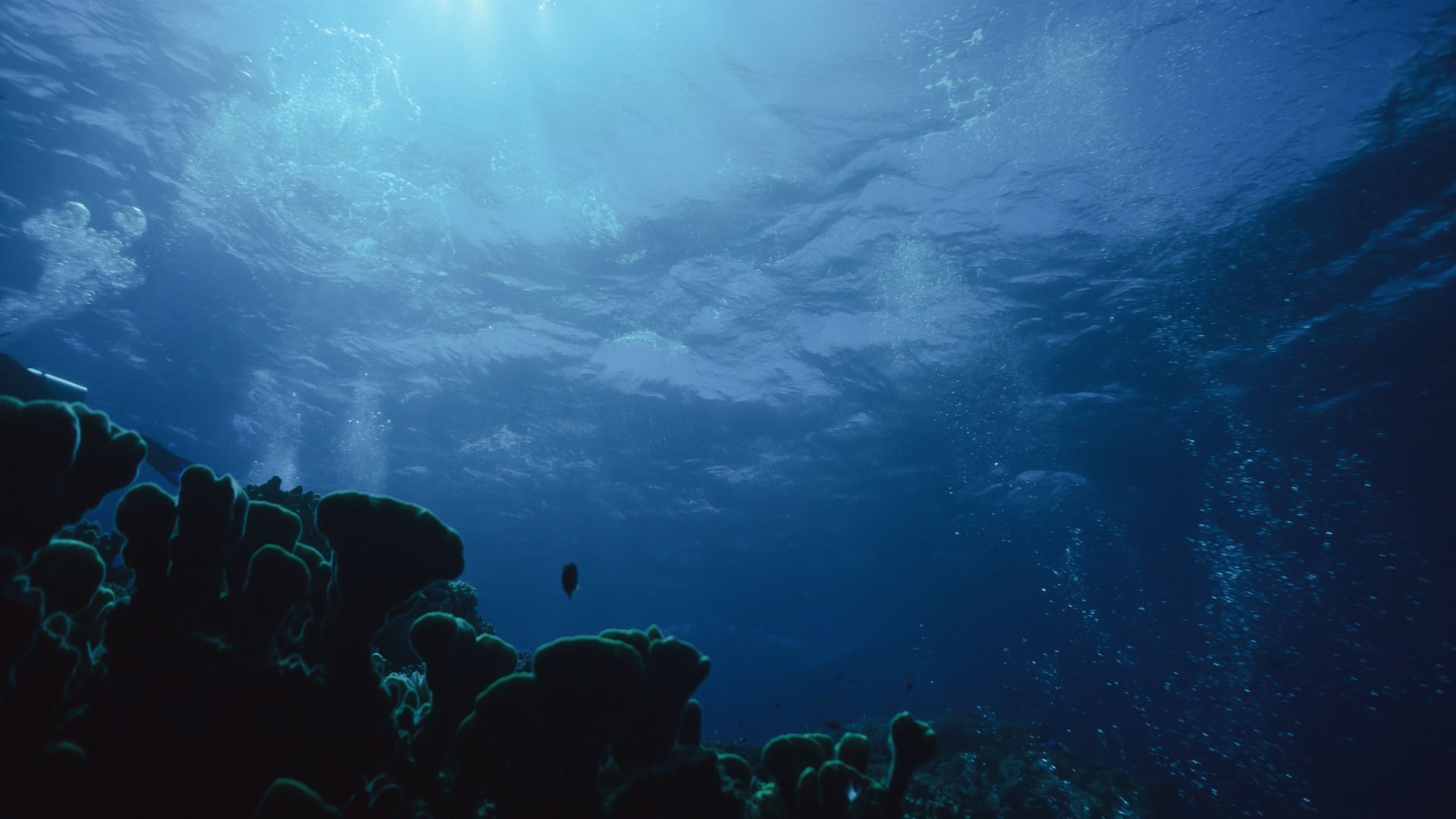A depiction of the psychological underwater video game, Dark Mass - Source : Unsplash / @Jim Beaudoin