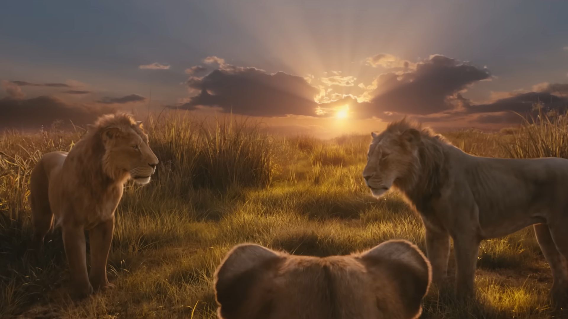Mufasa and Taka listening to their mother
