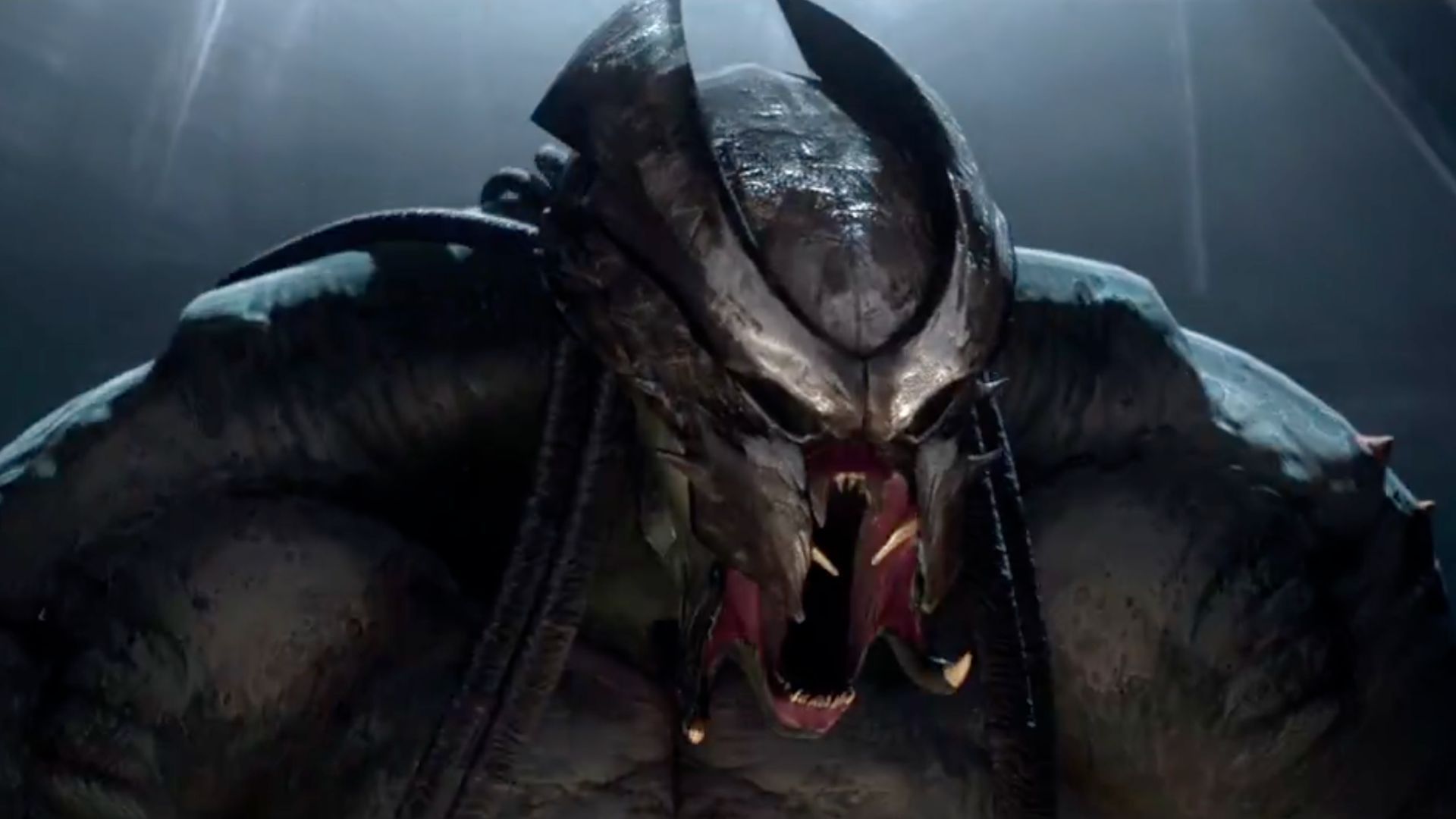 Predator: Killer of Killers, Predator Memes