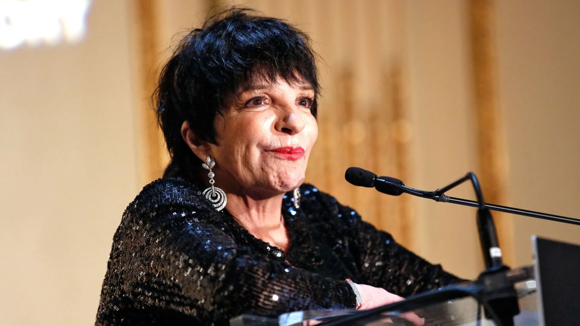 Liza Minnelli speaks onstage during the 4th Annual amfAR Inspiration Gala New York - Source: Getty