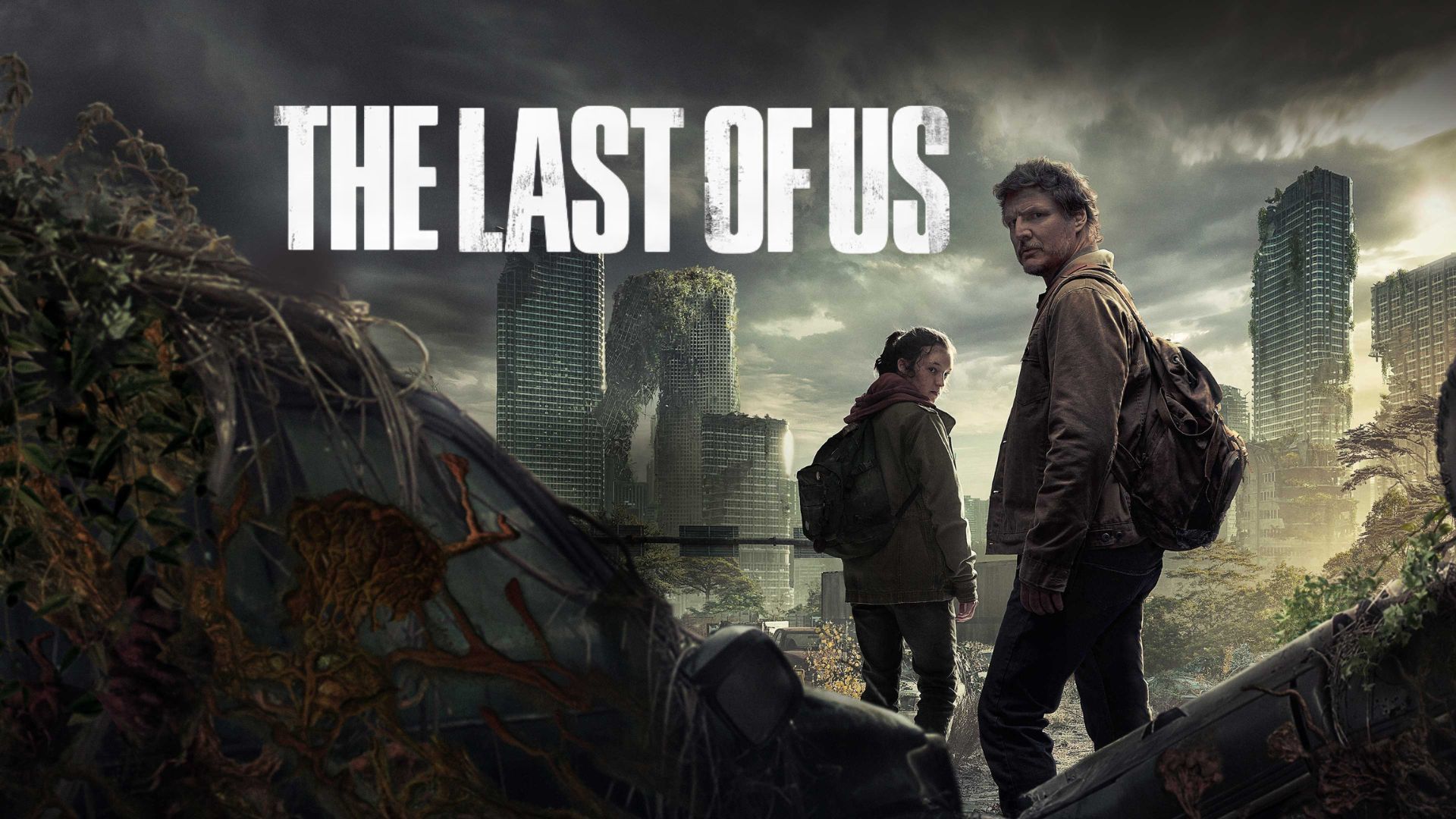 Promotional poster for The Last of Us  | Image via MAX