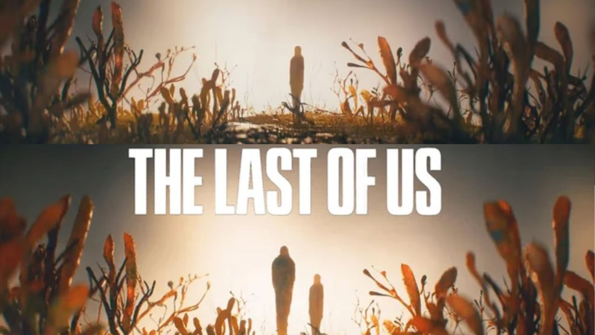 The Last of Us Season 2 Opening Credits in Episode 2 and 3 (Image via HBO)