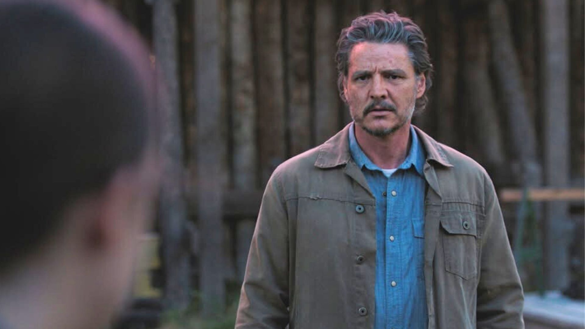 Pedro Pescal in The Last of Us | Image via Instagram: streamonmax