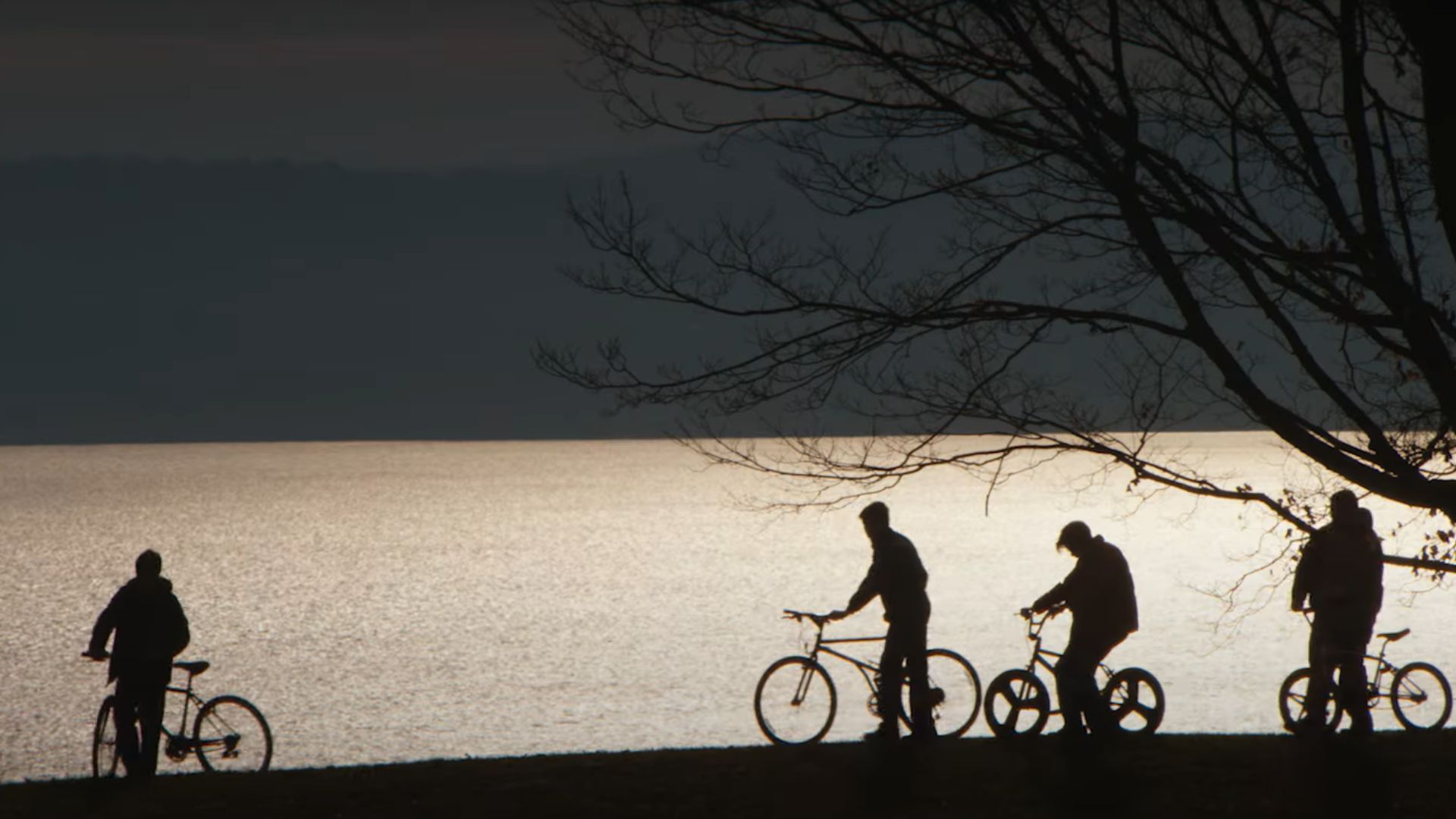 Four kids with their bicycles are seen from a long shot who appears like shadows