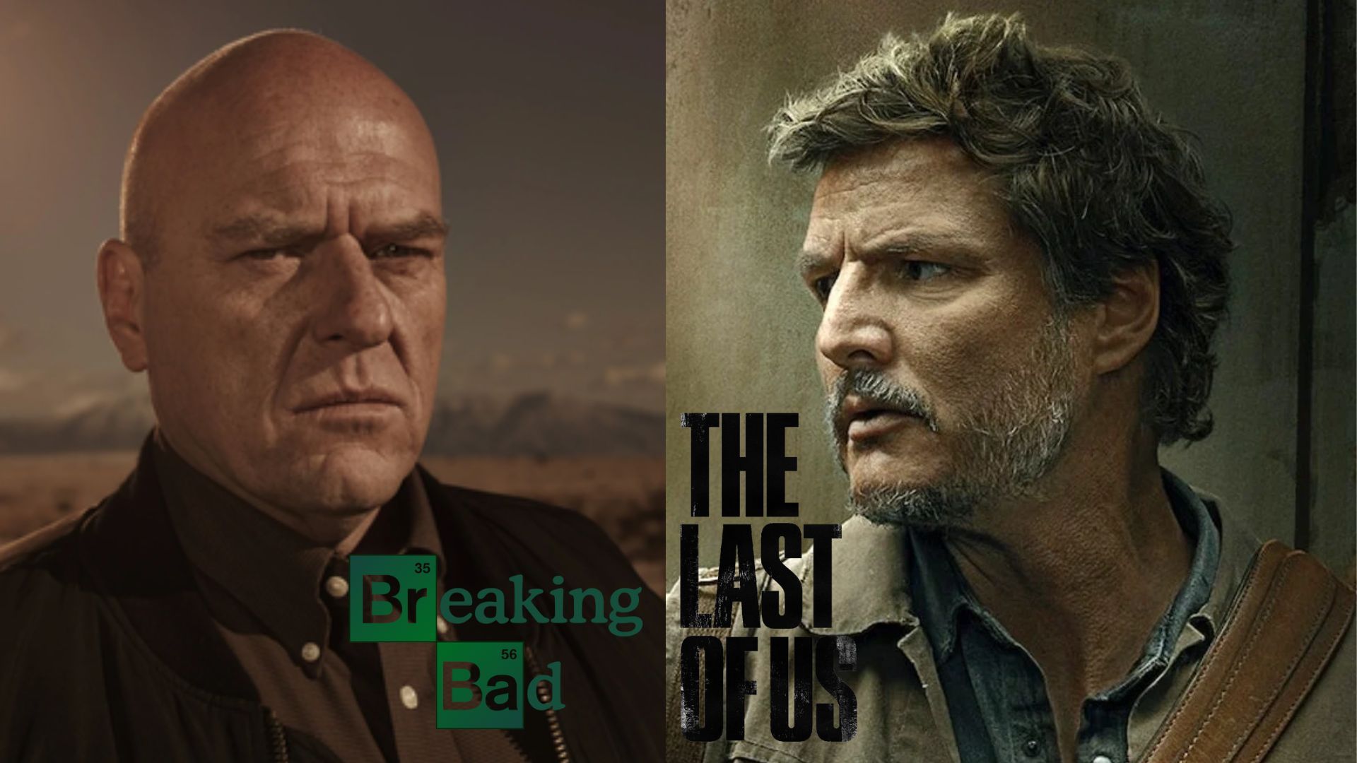 Braking Bad and The Last of Us | Images via Netflix and MAX