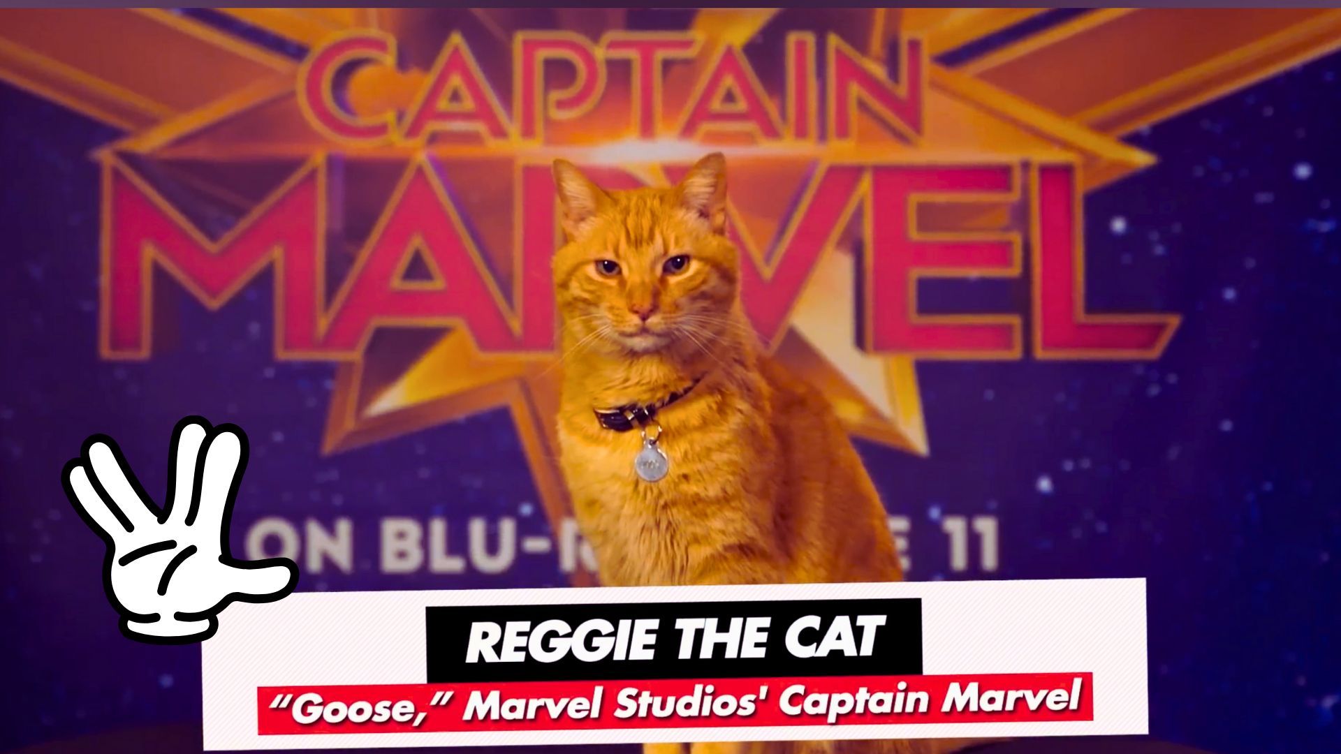 Goose from the Marvels + Vulcan sign with Mickey glove | Images via: Marvel/Canva | Collage by: Beatrix Kondo of Soap central