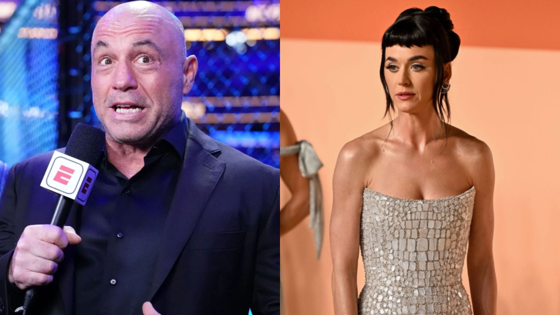 Joe Rogan mocks Katy Perry