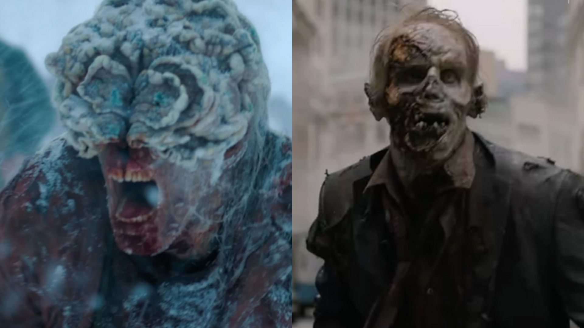The zombies in The Walking Dead and The Last of Us differ in multiple aspects / (Image via Instagram thelastofus)