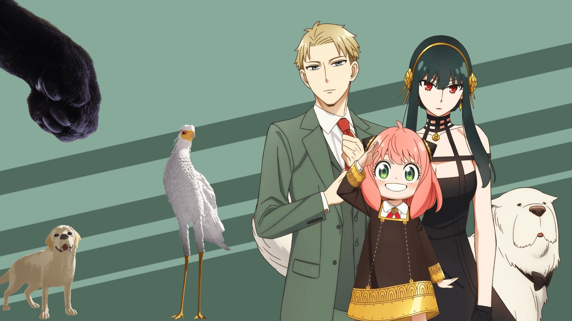 Characters from the film Flow and theanime SPY X FAMILY | Images via: Flow website/Prime Video